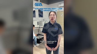 Cromatógrafo de óleo de transformador portátil ZXSP-8890